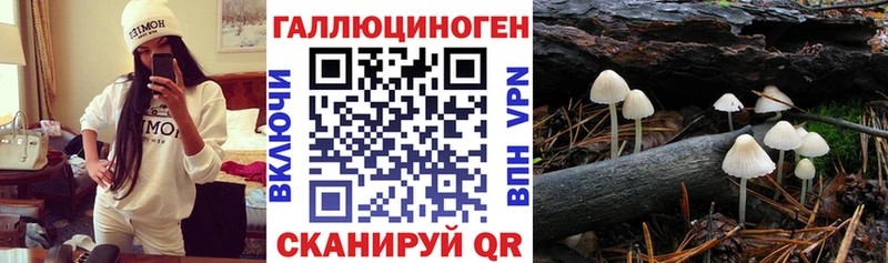 Псилоцибиновые грибы мухоморы блэк спрут ссылки Воскресенск